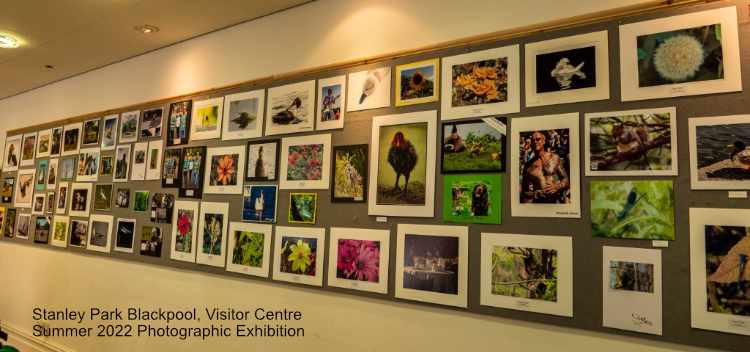 Photographic Exhibition at Stanley Park Visitor Centre Blackpool