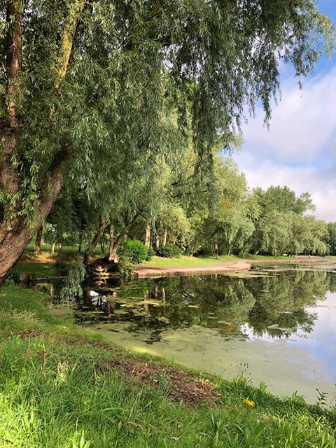 Stanley Park Blackpool, Park Life in a Pandemic, 2020.