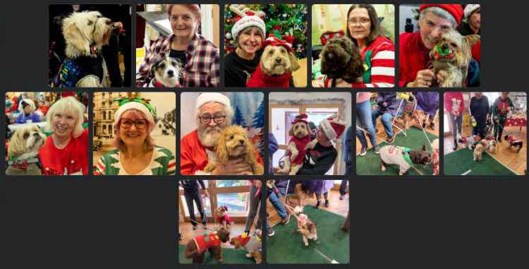 Friends of Stanley Park Blackpool Dog Party 13th December 2023
